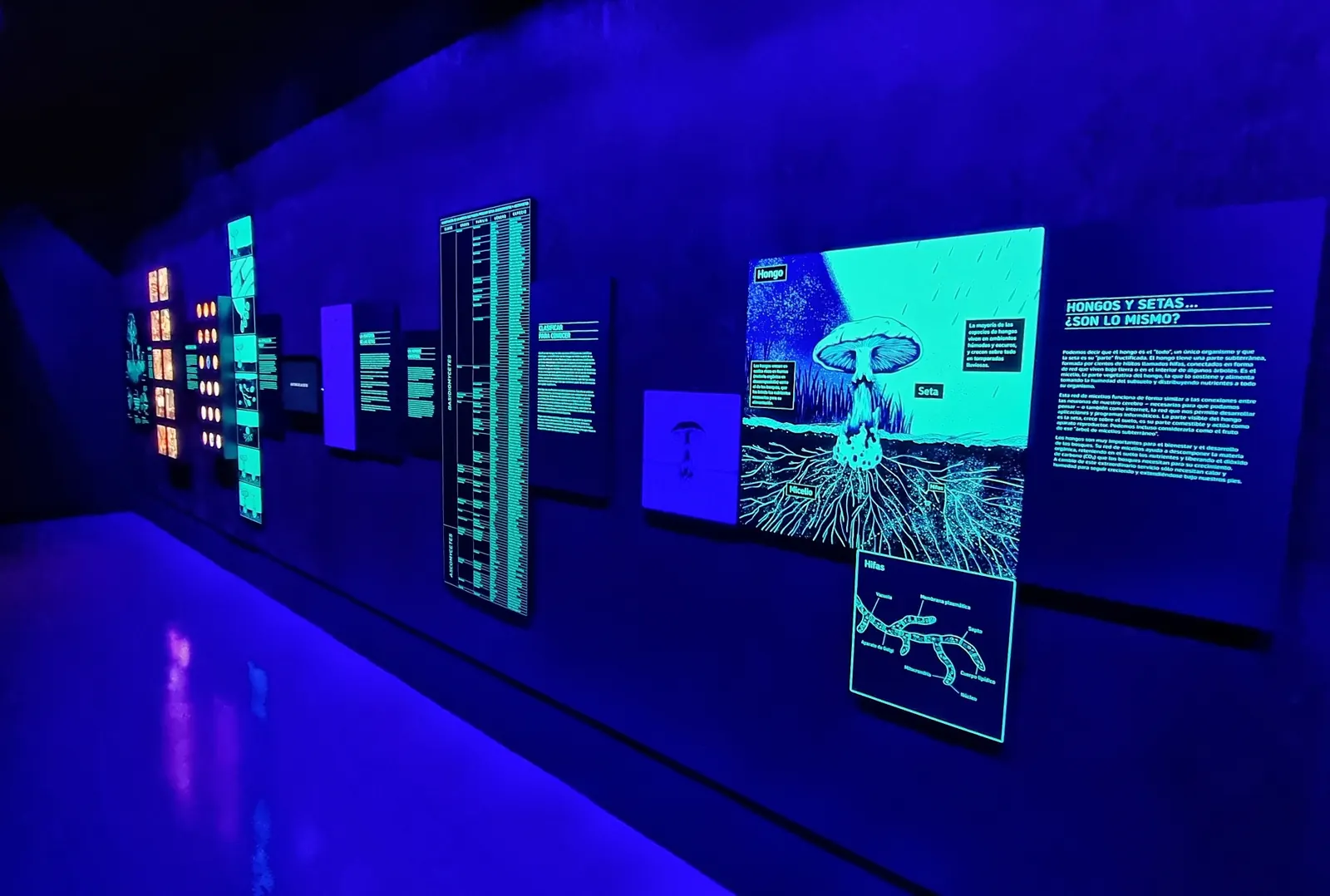 Pavimento epoxi museo Monesterio Badajoz